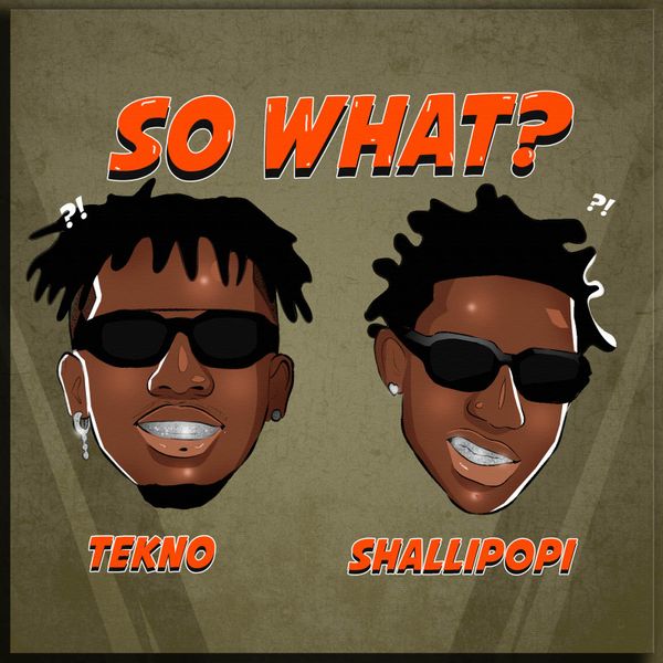 Tekno - So What? ft. Shallipopi